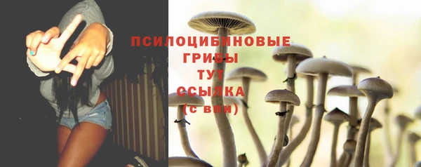 марки nbome Беломорск